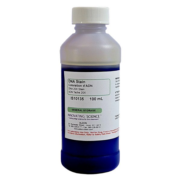 DNA Stain, 100mL