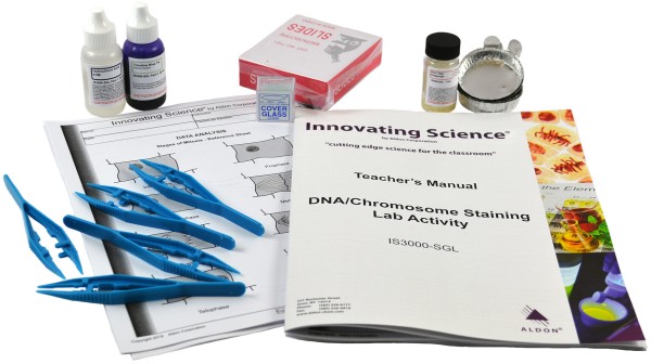 Small Group Learning: DNA/Chromosome Staining