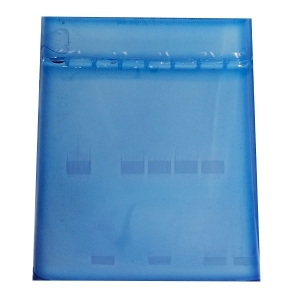 Career Technology Education:Genetics of Polycystic Kidney Disease