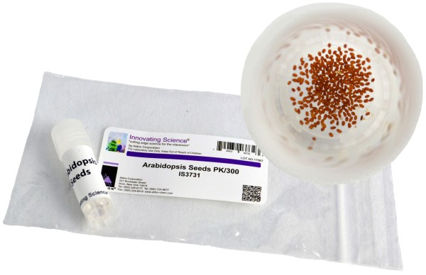 Arabidopsis Seeds PK/300