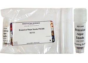 Brassica Rappa Seeds PK/200