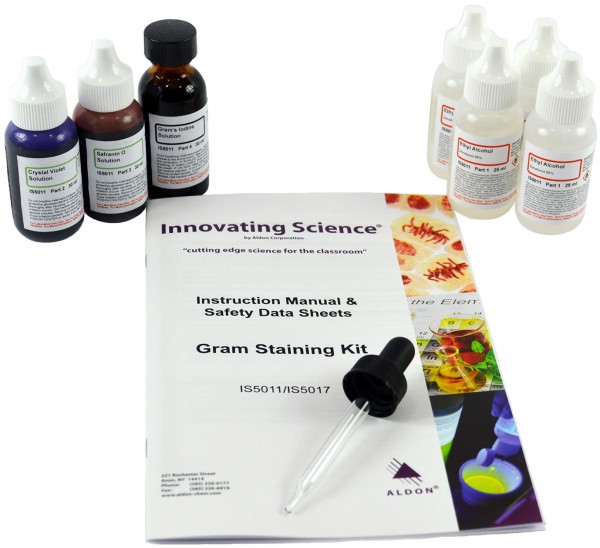 Gram's Stain Kit