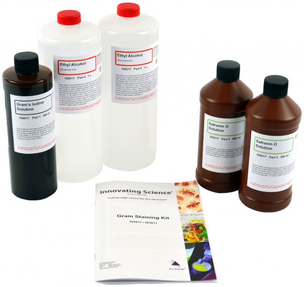 Gram's Stain Kit - Large