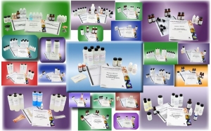 Complete Set of 22 AP Chemistry Lab Activities